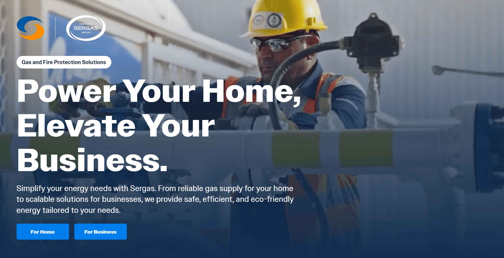 Sergas Group Website